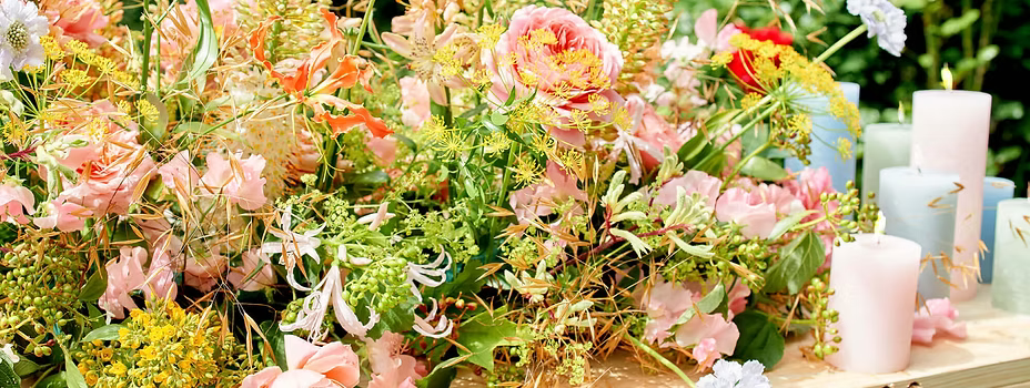 Bloem en Blad