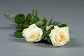 Strooibloemen