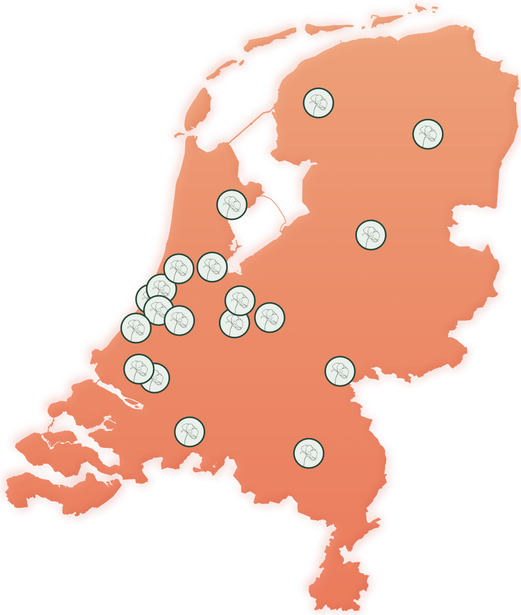 Landkaart met alle locaties van aangesloten bloemisten van uitvaartbloemist In Memoriam