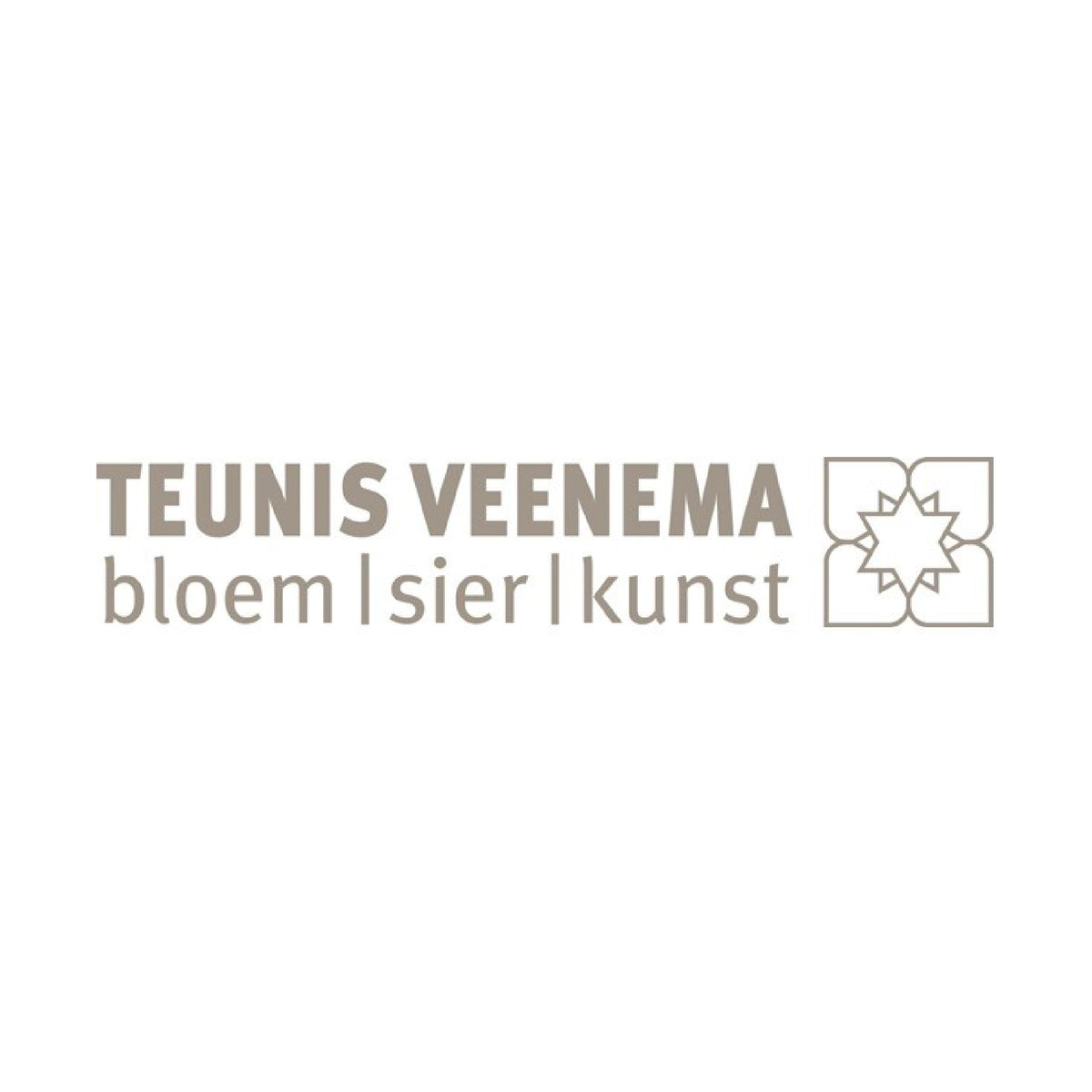 Logo van bloemist Teunis Veenema